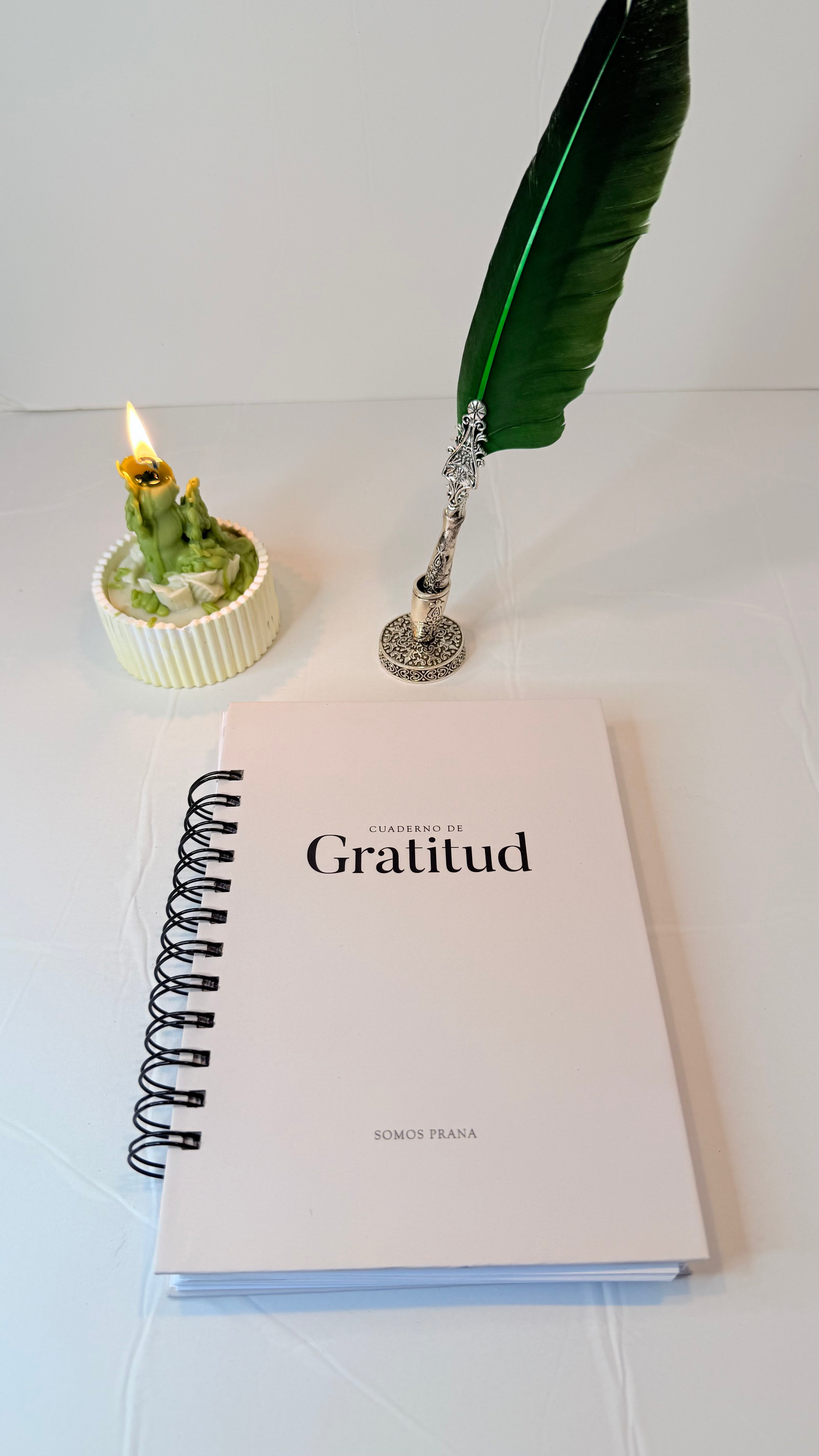 Cuaderno Gratitud